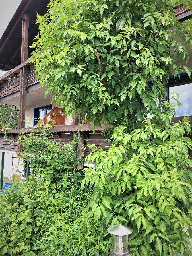 Antjes Schmankerlhotel Und Restaurant Trostau Bagian luar foto
